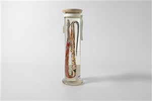 Image description is not available for 2003.10.11